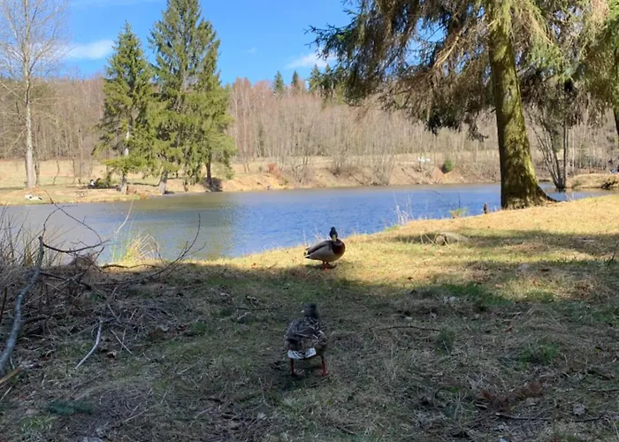 Appartement Na Zaciszu - Z Jacuzzi